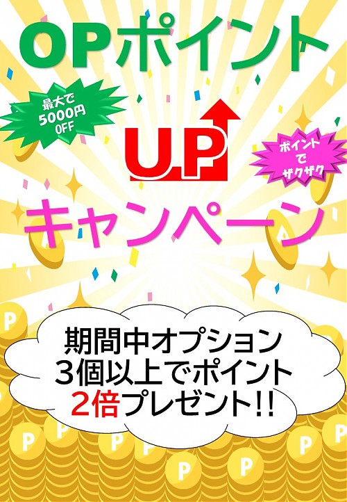 op3個以上でポイント2倍!!